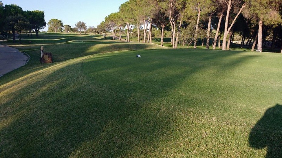 Vincci Valdecañas Golf 13