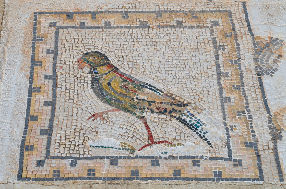 Detail of the Bird Mosaic Italica