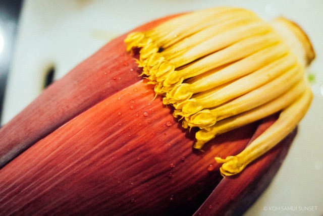 Banana Flower