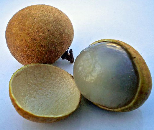 Thai Longan