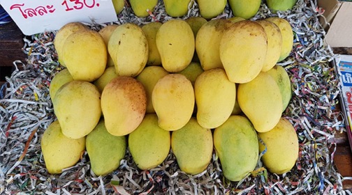 Yellow Mango