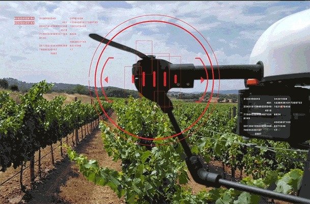 Vineyard Drone