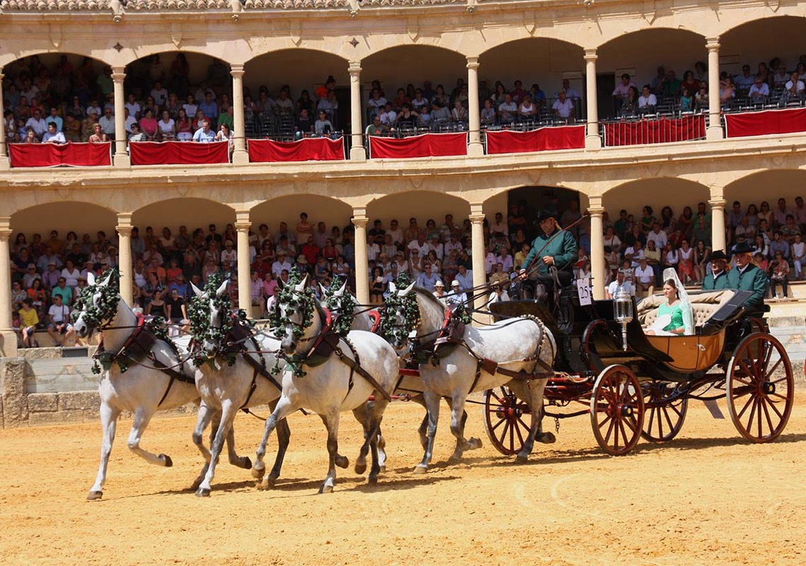 Ronda Premios Enganches