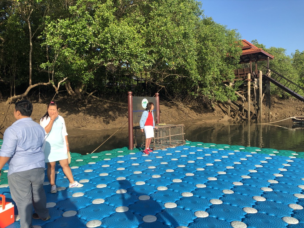 Floating Dock