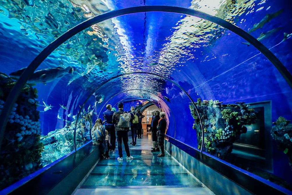 Aquarium Underwater Tunnel