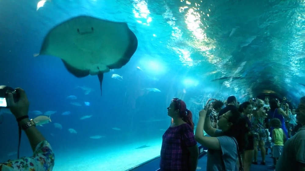 Aquarium