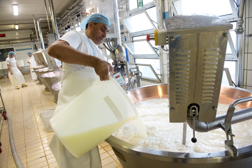 Parmigiano Boiler