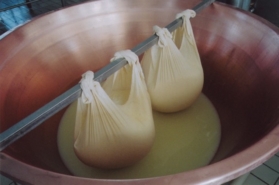 Parmigiano Gemelle
